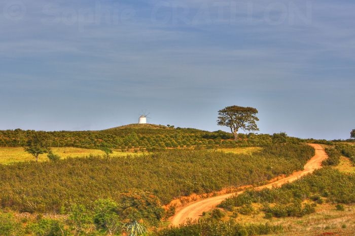 Paysage Algarve.jpg